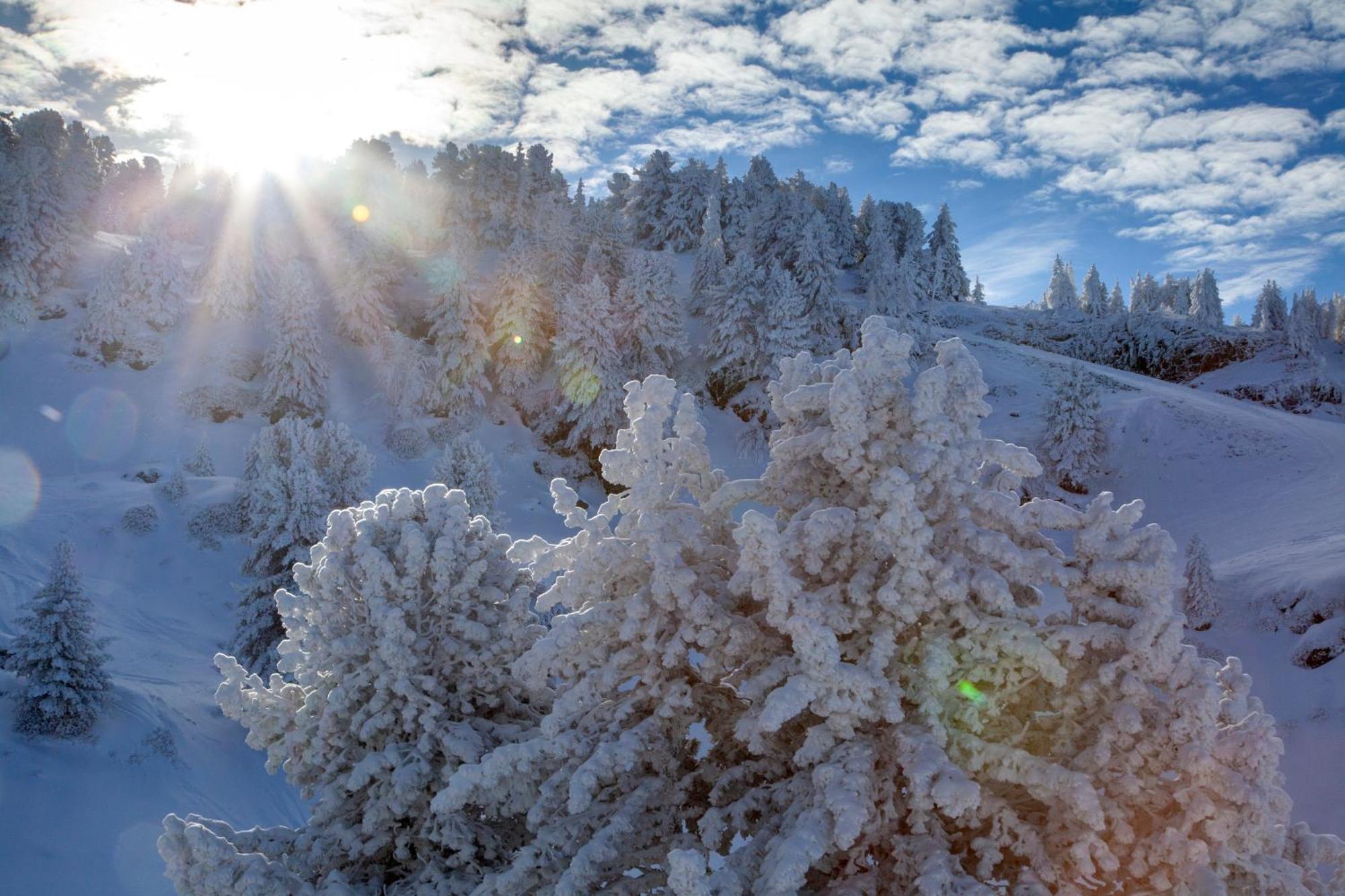 Studio, 2 Personnes, Les Balcons De Recoin Chamrousse Buitenkant foto